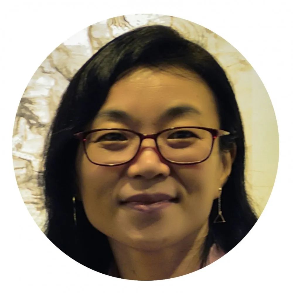 ������Ƭ