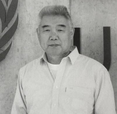 ���ķ���Ƭ