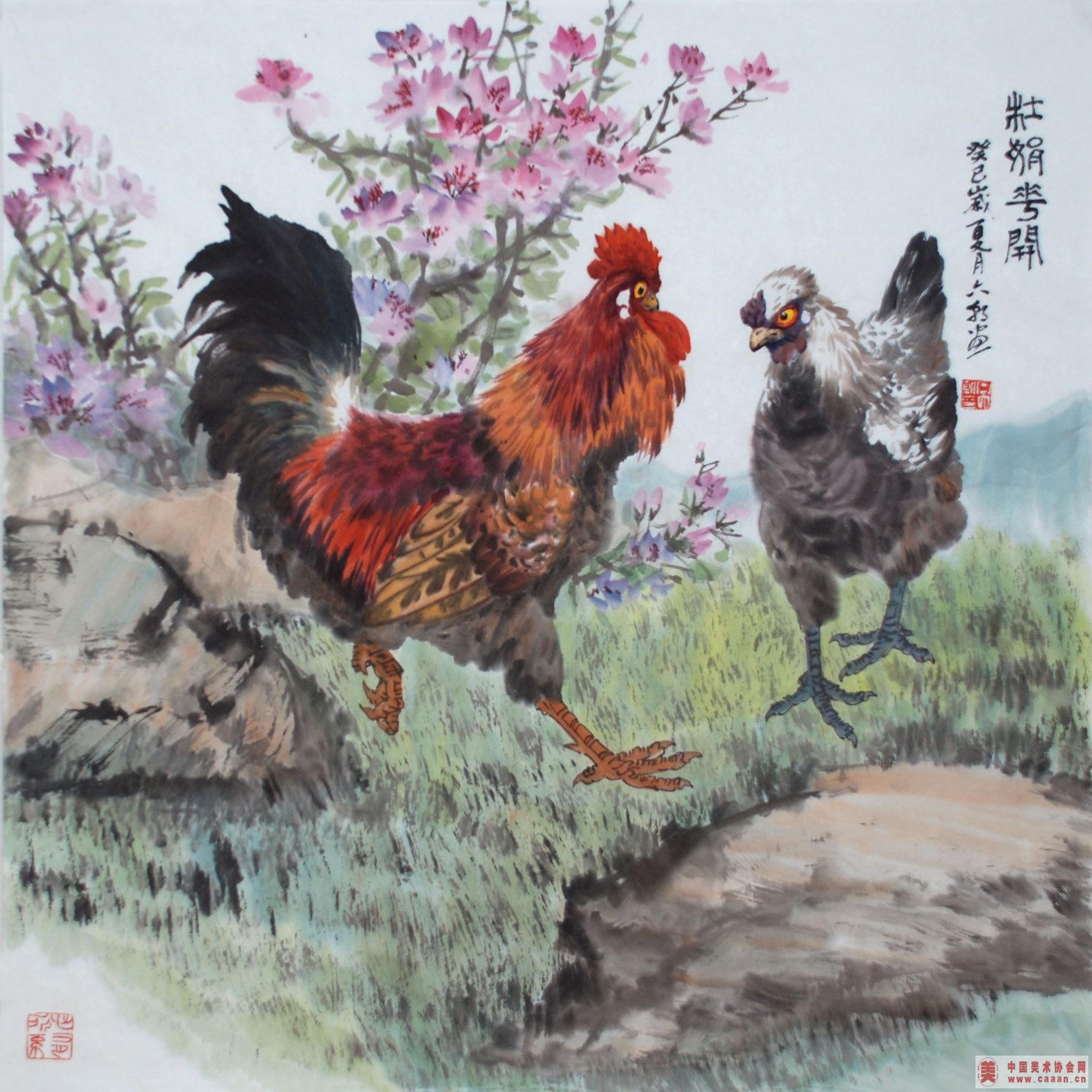 ž黨