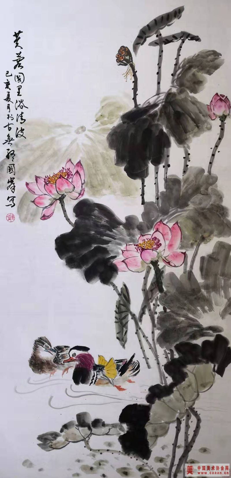ܽ�ع���ԡ�岨