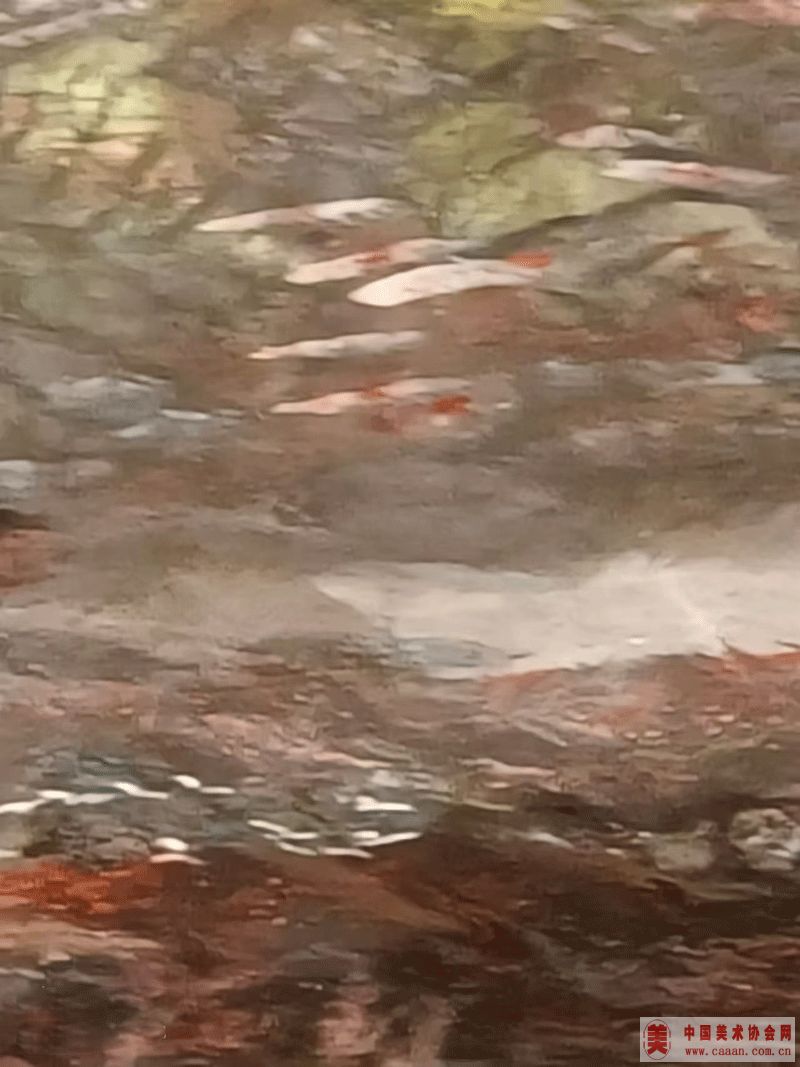 Ʒ
