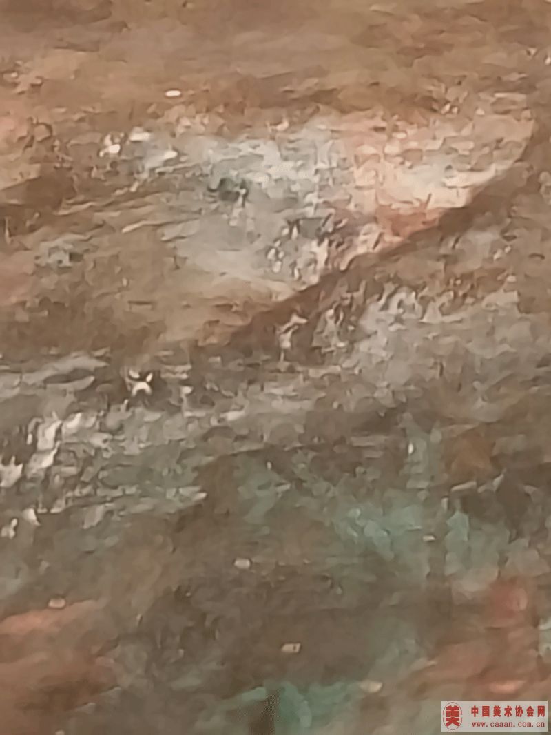 Ʒ