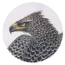ŶƷ