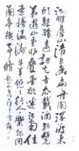 鷨